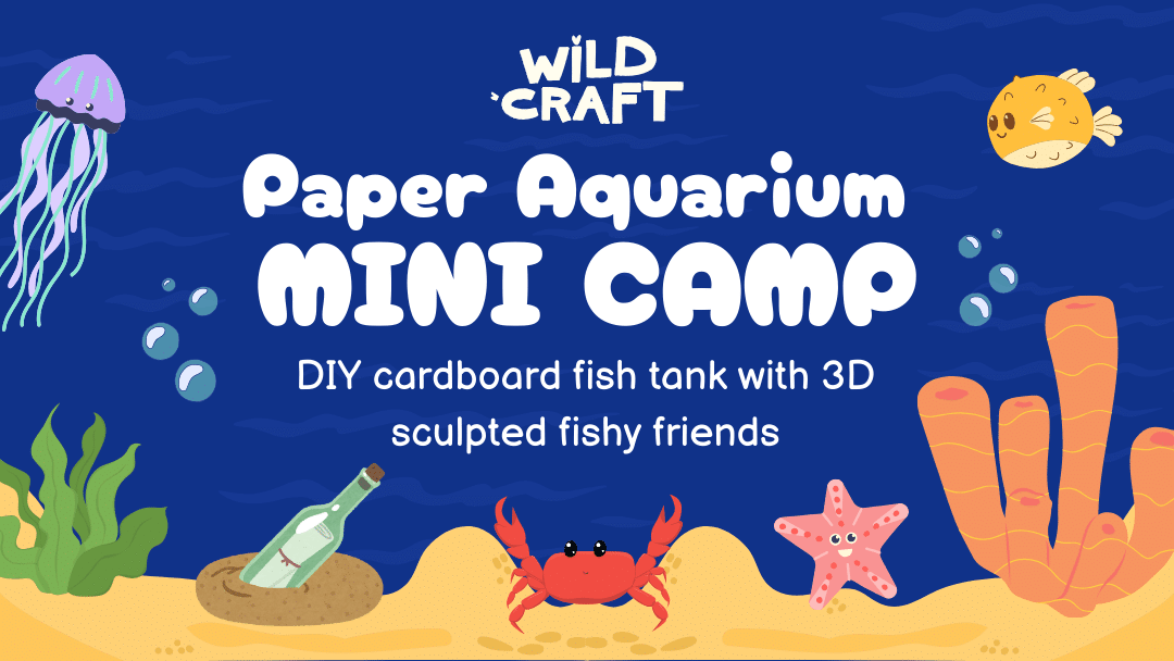 Paper Aquarium Mini Camp