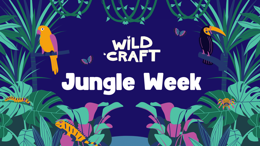 Wildcraft Jungle Week