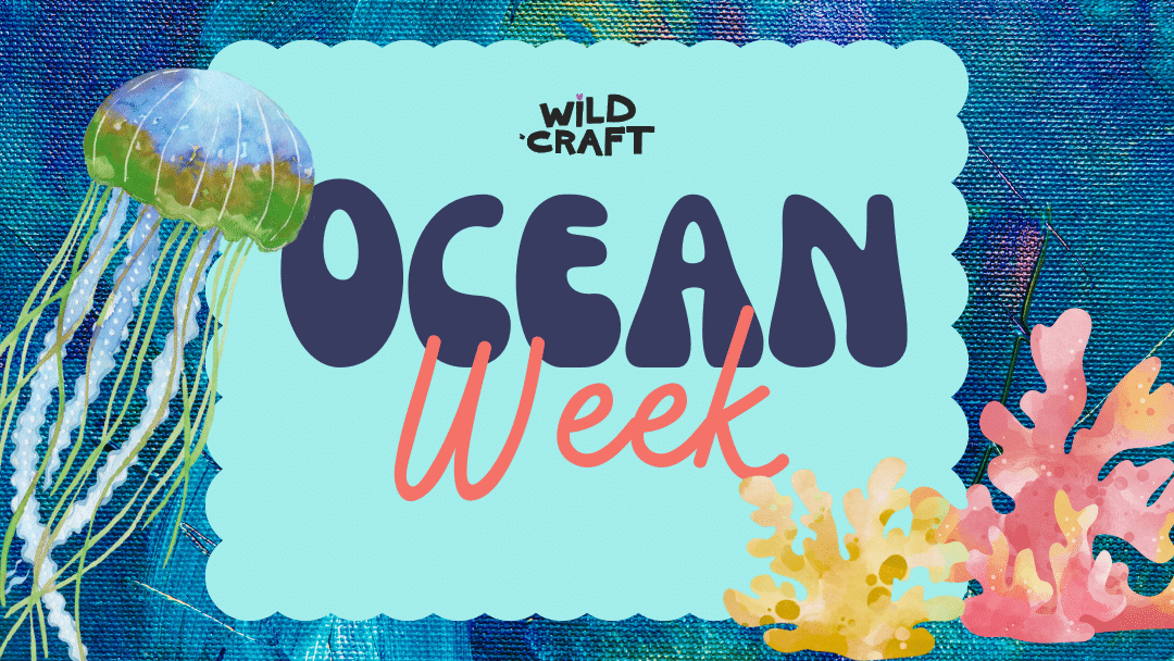 Wildcraft Ocean Week